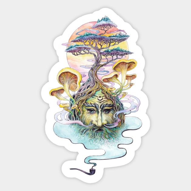 Shaman Don Juan Sticker by ruta13art